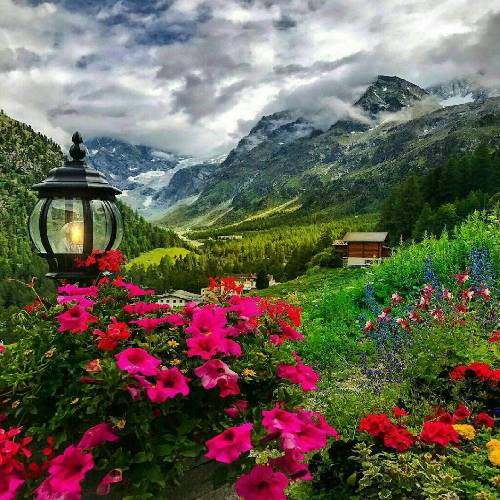 آگیت آیکوت و اوعوزهان کارا سودا